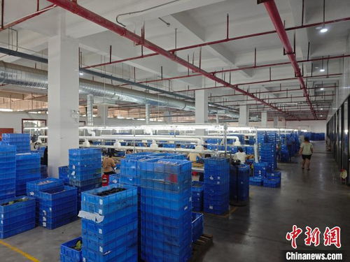 港資企業在贛扎根，與江西發展同頻共振，一路繁花技術開發