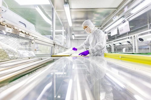 這座中國小城，如何用技術連接全球30萬海外合伙人